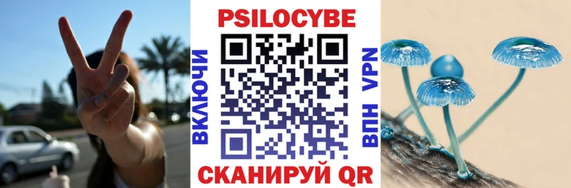 hydra маркетплейс  Новоалександровск  Псилоцибиновые грибы Psilocybe  наркота 